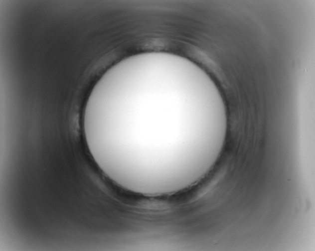 X0000088050633200706011343