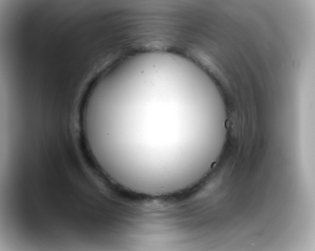 X0000088050634200706011343