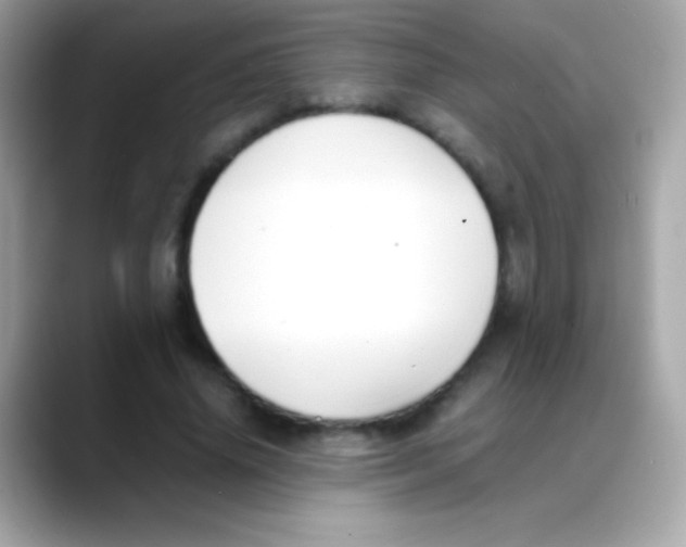 X0000088050636200706011343