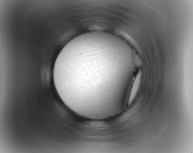 X0000088050637200706011343