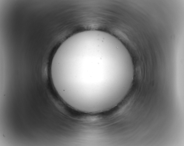 X0000088050638200706011343