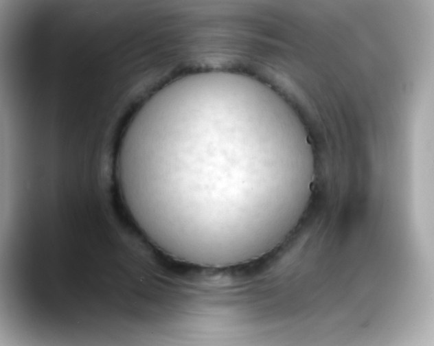 X0000088050640200706011343
