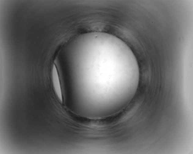 X0000088050641200706011343