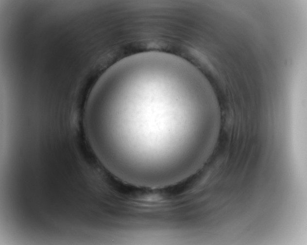 X0000088050643200706011343