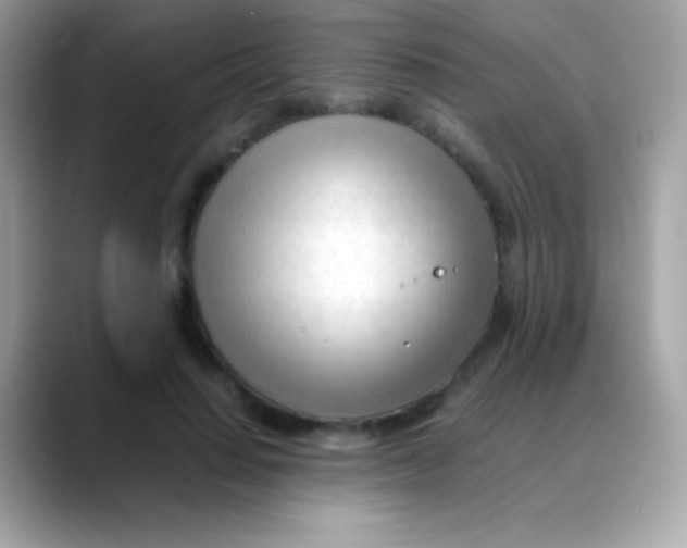 X0000088050644200706011343