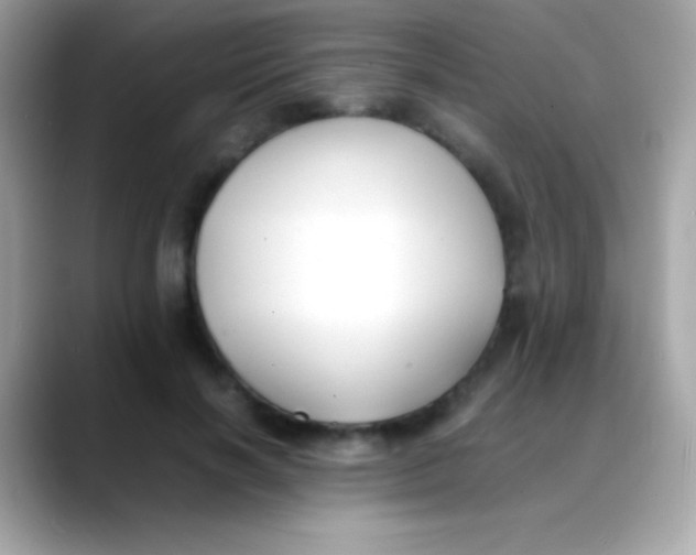 X0000088050646200706011343