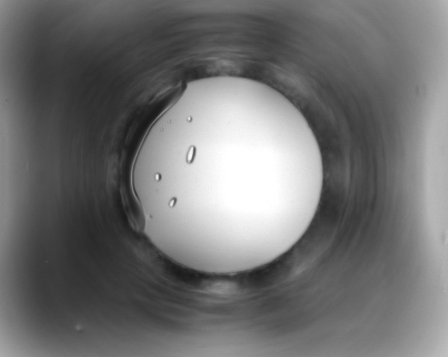 X0000088050649200706011343