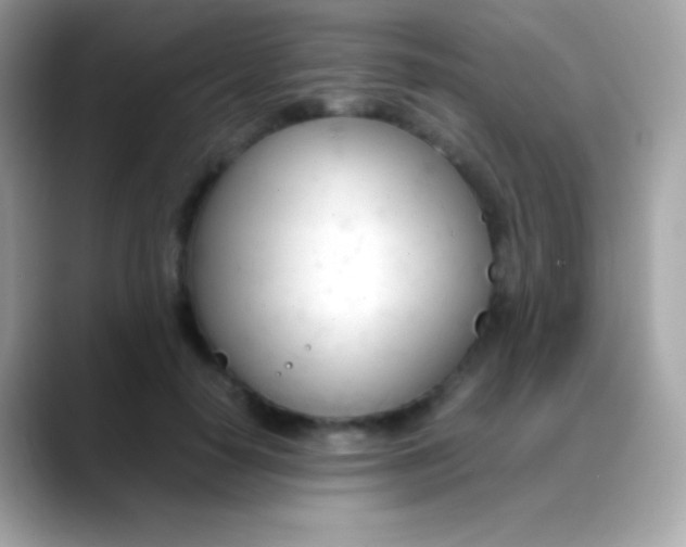X0000088050650200706011343