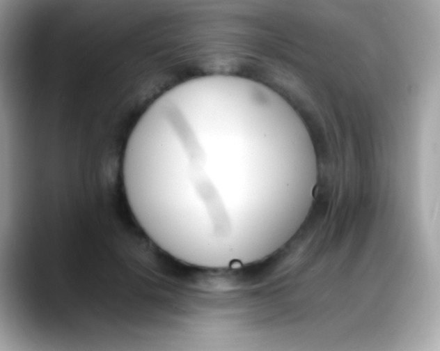X0000088050652200706011343