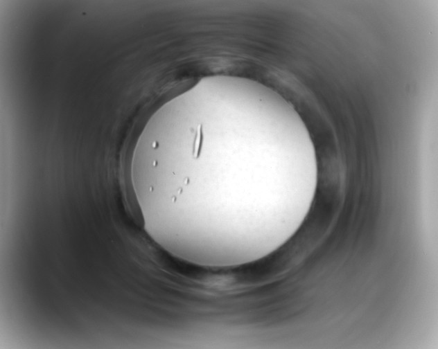 X0000088050653200706011343