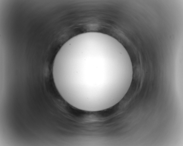 X0000088050655200706011343