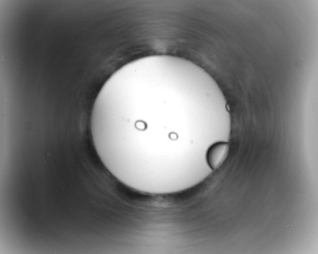 X0000088050656200706011343