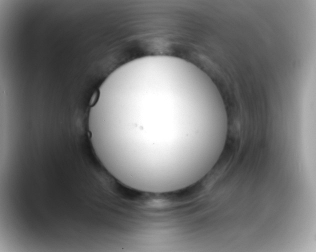 X0000088050658200706011343