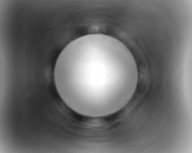 X0000088050659200706011343