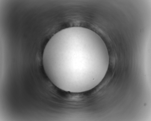X0000088050661200706011343