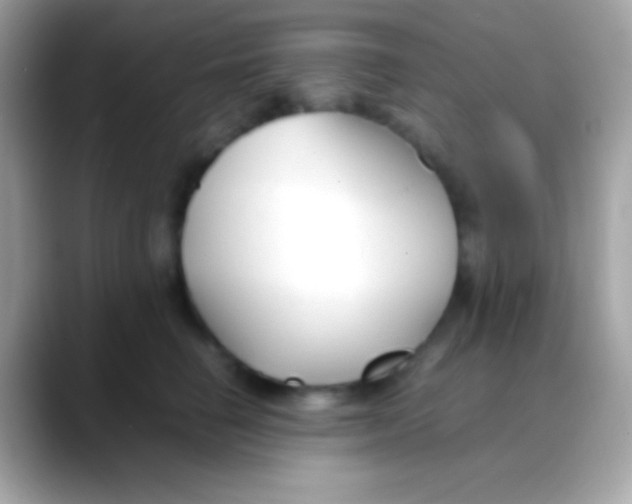 X0000088050662200706011343