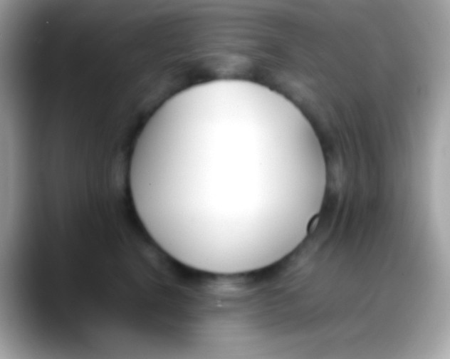 X0000088050664200706011343