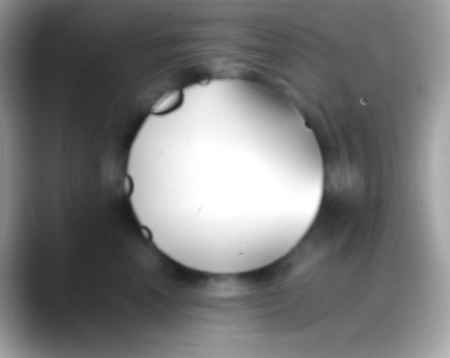 X0000088050666200706011343