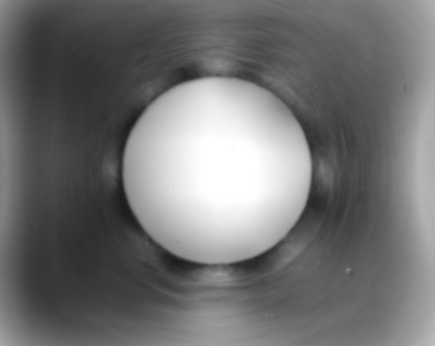 X0000088050668200706011343