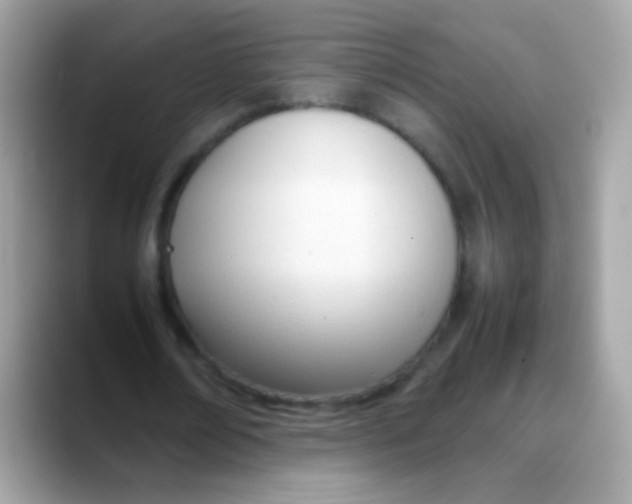 X0000088050674200706011342