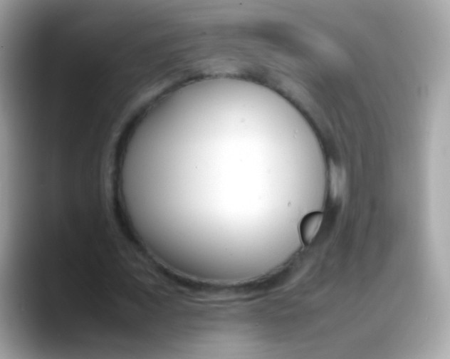 X0000088050675200706011342