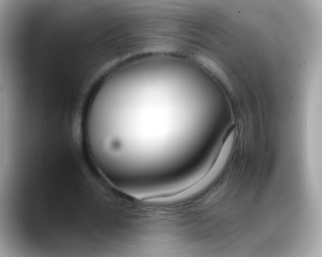 X0000088050676200706011342