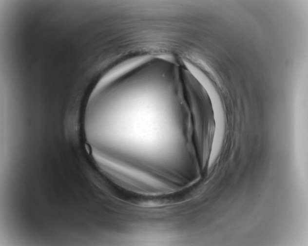 X0000088050677200706011342