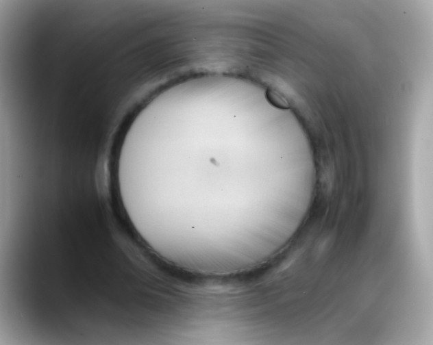 X0000088050678200706011342