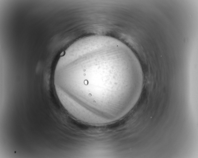 X0000088050679200706011342
