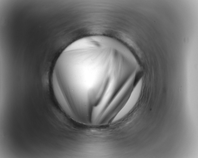 X0000088050681200706011342
