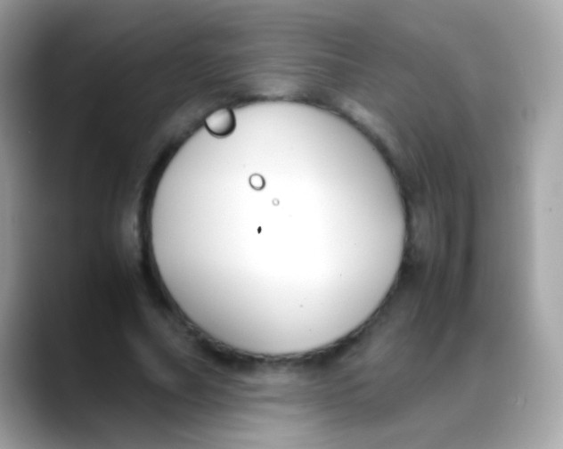 X0000088050682200706011342