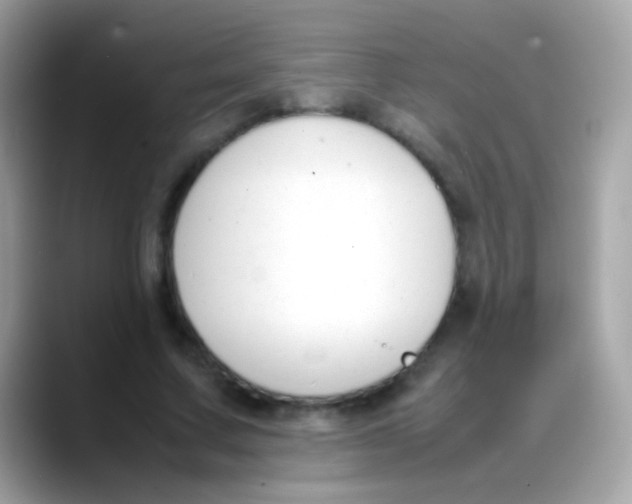 X0000088050683200706011342