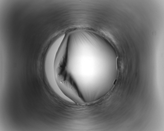 X0000088050684200706011342