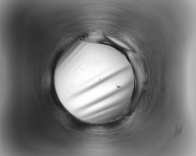 X0000088050685200706011342