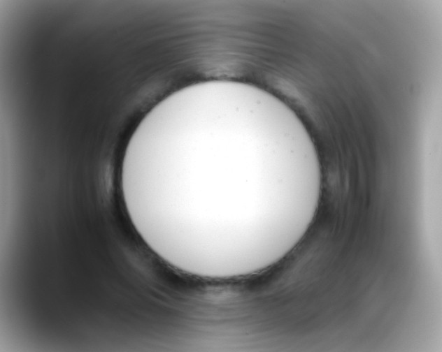 X0000088050686200706011342