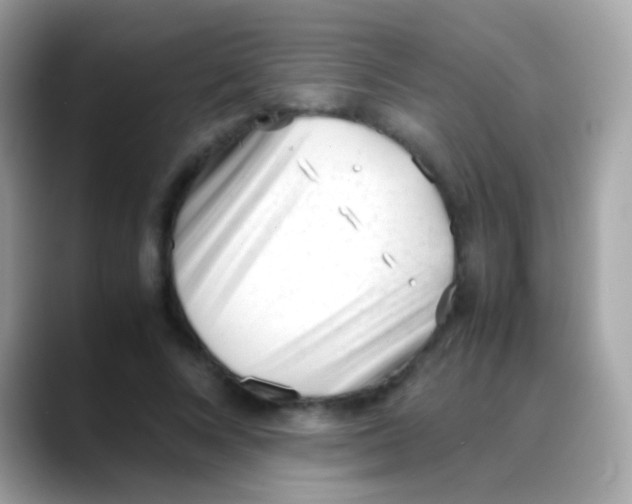 X0000088050688200706011342