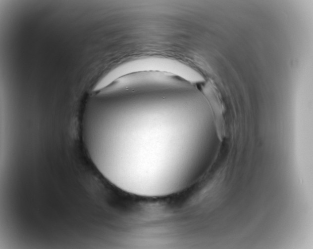 X0000088050689200706011342