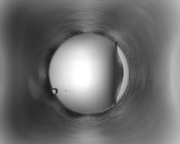 X0000088050691200706011342