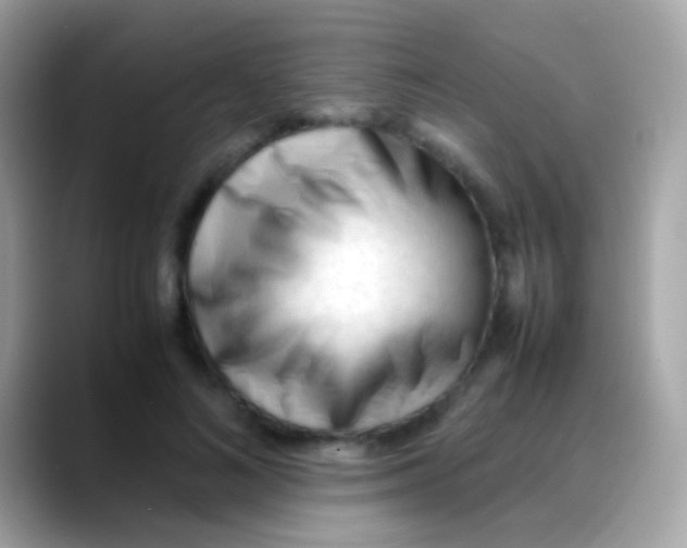 X0000088050692200706011342