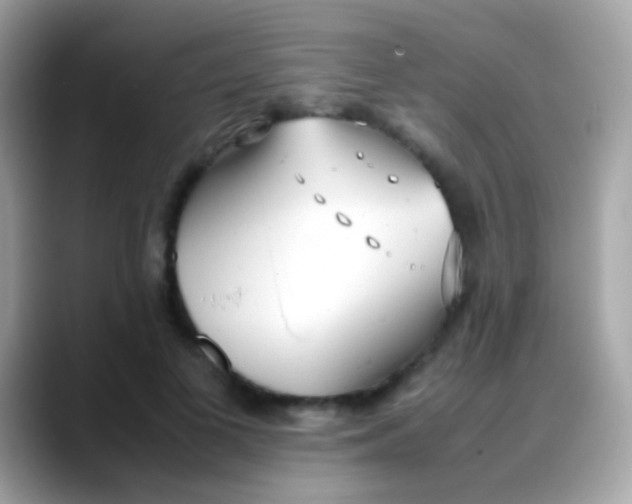 X0000088050693200706011342