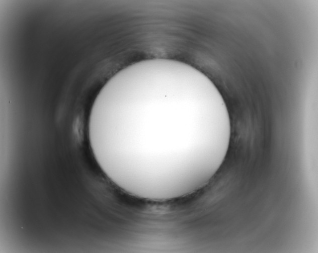 X0000088050694200706011342