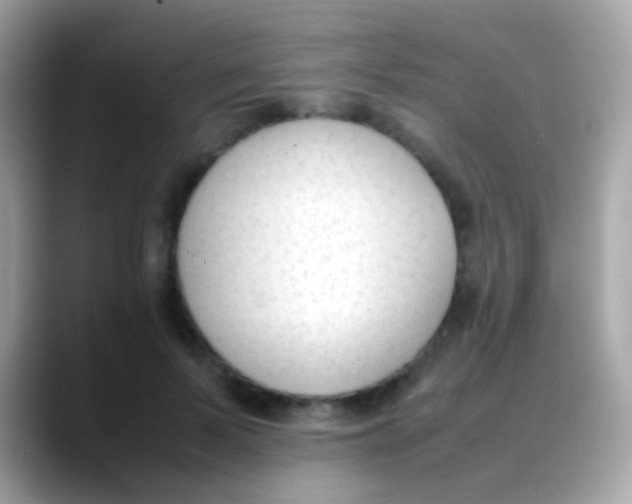 X0000088050695200706011342