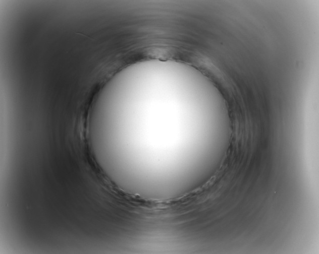 X0000088050696200706011342