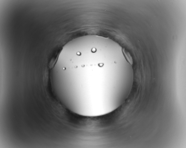 X0000088050697200706011342