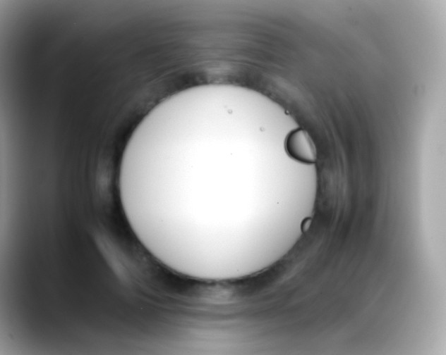 X0000088050698200706011342