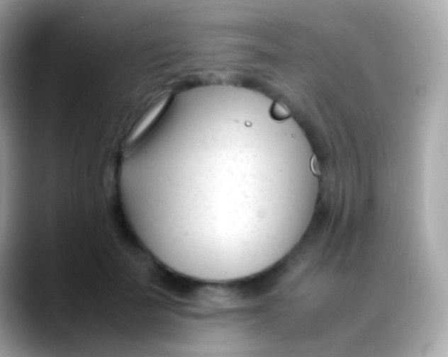 X0000088050699200706011342