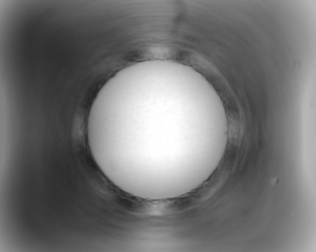 X0000088050701200706011342