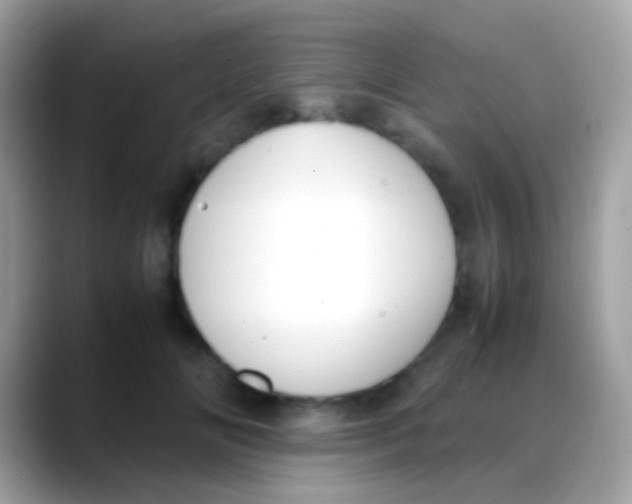 X0000088050702200706011342