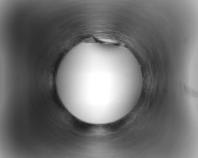 X0000088050704200706011342
