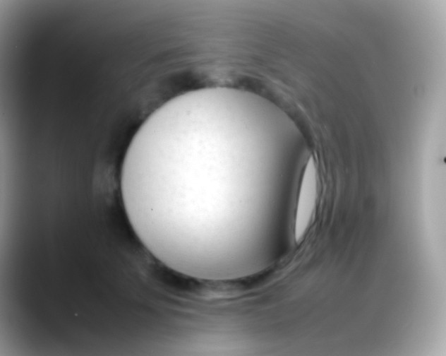 X0000088050707200706011342